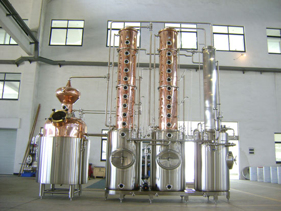 7b.jpg